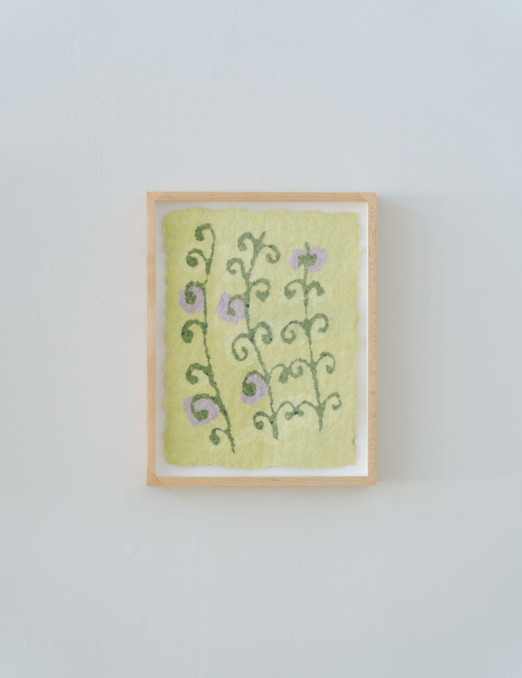 paper pulp fern made from recycled cotton t-shirts